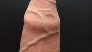 Art Cock Shake