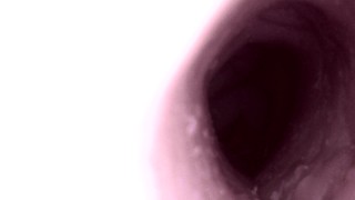 Anonymous Doll Creampie: Just the internal cam.