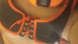 Pup scar’s quick cumshot