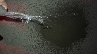 Public walmart piss