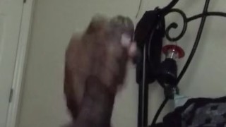Quick Nut 