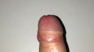 Young hard oiled dick