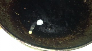 Bust a nut...... fried cum.....