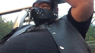 bear bash pup clip