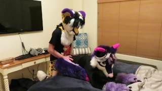 Cheetah Interrupts Laundry Day