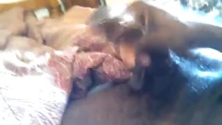 hard and cumming