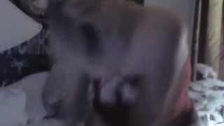 Thick Horny MILF Merrily Mesmerizes