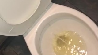 Bear Pissing in public