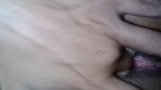 Horny Sativa
