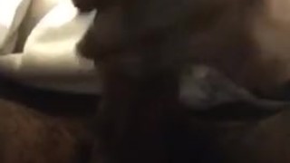 A quick nut