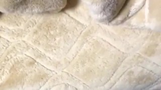 大学生 包茎 オナニー1