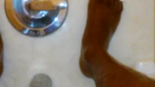 Tat's Tub Action