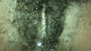 Pussy