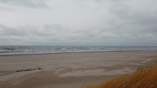 Ginger Redhead Amateur Public Cold Winter Beach Blowjob CIM & Cum Swallow