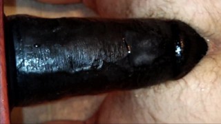 Watch me fuck my hairy ass doggie style with the 3 inch thick monster dildo