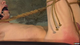 Leo Ocean reshapes bound ginger twink ass with cock