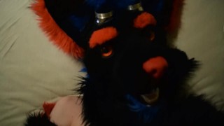 Little Femboywolf is waching porn and cum in his face Pt.3