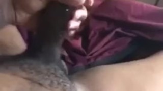 Swallow All My Nut.