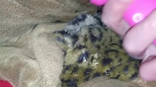 Boo edges phat pussy with toy