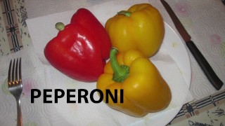 Italian course 5