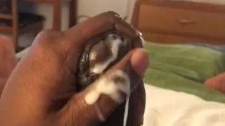 BBC SHOOTS HIS LOAD
