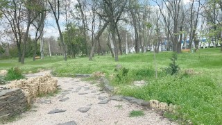 Blowjob in public in the park-Sweet girl swallows my sperm