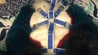 Pawing off in a harness