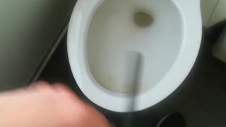 Unpacking and pissing in the clogged train toilet