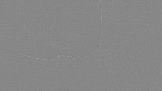 Pussy Eating Clit Licking Addict - Ghost Girl & CKing