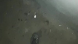 sneakers mud play in public