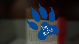 Quick paw in raingear