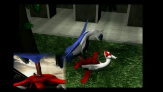 Furry Anime Videos 2