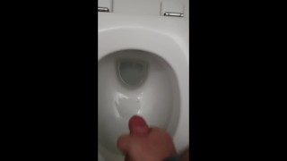 Jerking off my big dick in a public toilet on a campsite