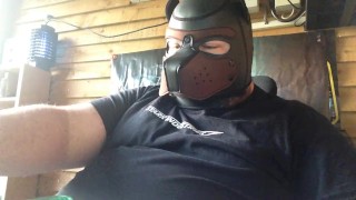 pup pipe clip