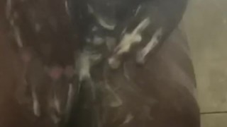 Big black dick