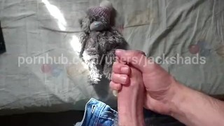 My teddy bear jerking my cock until cum