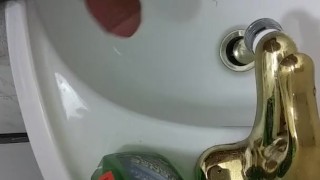 Big brown cock