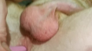 Toying ass and jerking cock (part 1)