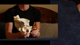 Penis Ligaments and Erection Angle: Prop demonstration stretching explained