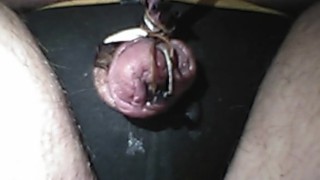 Electro torture my tiny worthless penis