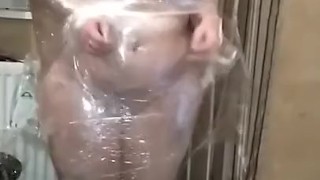 Fully Naked and Wrapped In Cling Film I Gotta Try Get Out lol