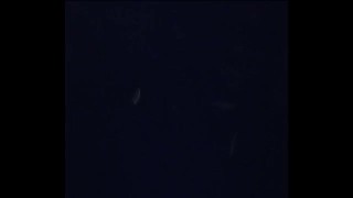 Lost Bet and Had to Suck Baseballs of Both Pitchers from Each Baseball Team