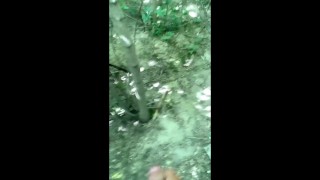 Big forest cumshot
