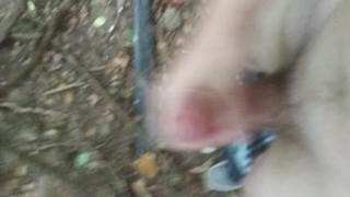 I came in the woods