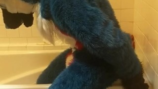 Blue fox on a didlo