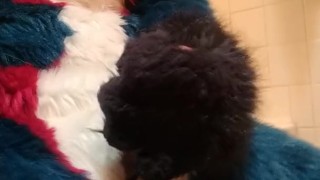 Short Fursuit Jackoff
