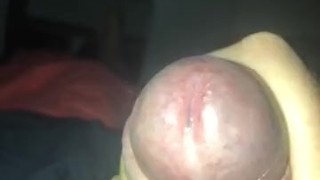 Sperm load on a hot july