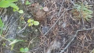Short Girl Good Morning Piss In Woods
