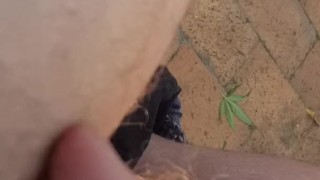 Playing with my uncut dick