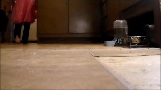 GTS ties up tiny hiding under bed & warms him with Feet POV